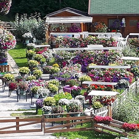 Appartement Planaiblick Schladming Kültér fotó